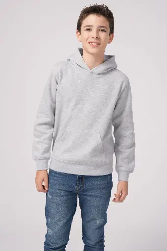 527-Youth Promo Hoodie